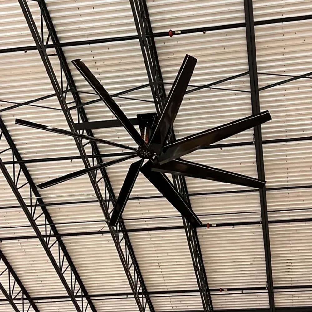 hvls fan